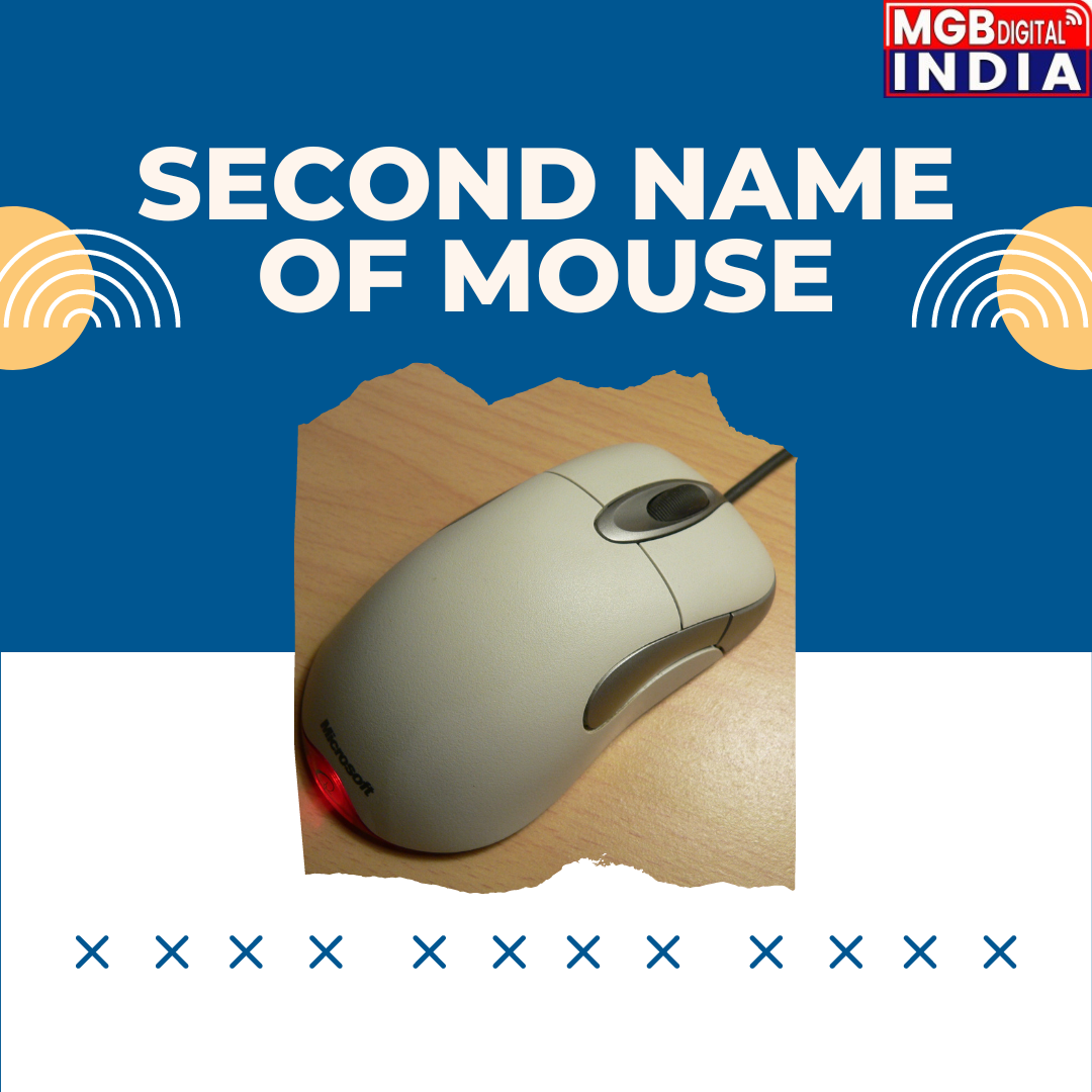 माउस का दूसरा नाम क्या है ?