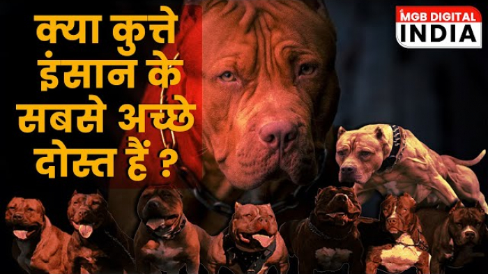 देश में बढ़ते कुत्ते के हमले के मामले, कर रहे कई सवाल खड़े | कुत्ते इंसान के सबसे अच्छे दोस्त