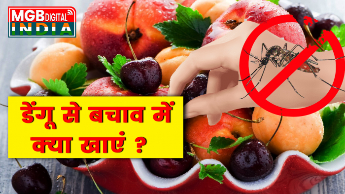 देश में तेज़ी से बढ़ रहा डेंगू | Dengue से बचाव के लिए इन चीज़ों को खाएं 