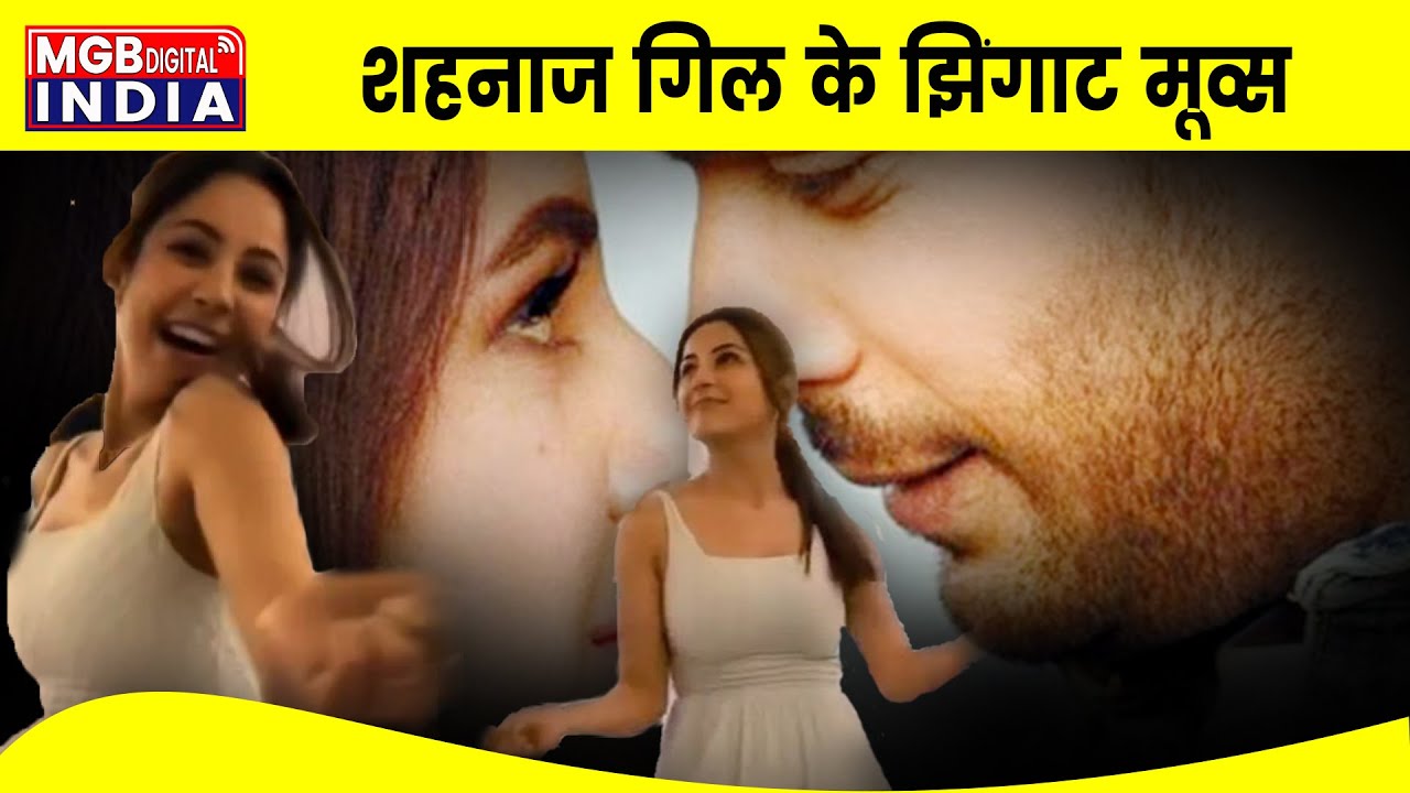 Zingaat Song पर Team वालों के साथ Shehnaaz Gill का Viral Dance | Janhvi Kapoor | Sidharth Shukla